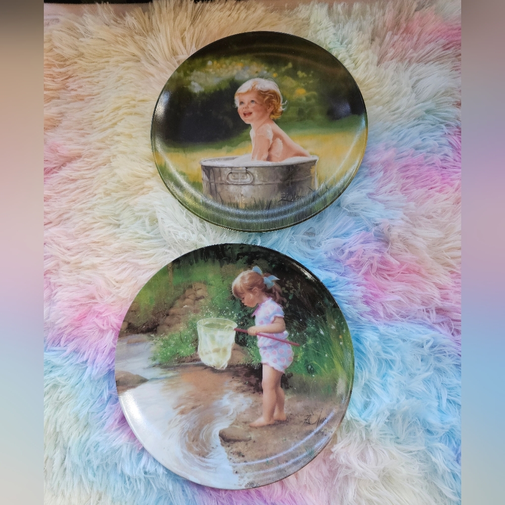 Donald Zolan Crystal Creek Collector Plates